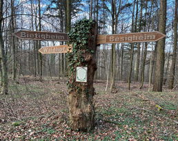 Quo Vadis Imkerei in Deutschland?