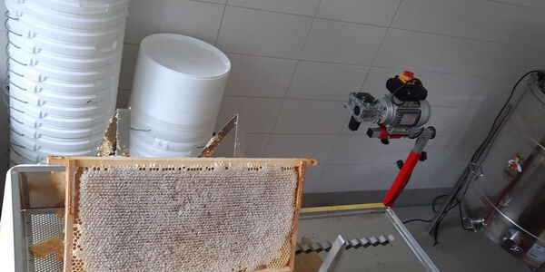 Die letzte Wabe der Tracht in/um Bietigheim