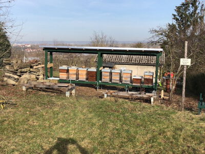 Der leere Futterkarton