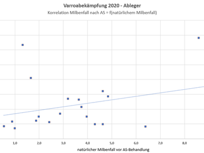 Zuchtrahmen für Königinnen mit Pflegevolk