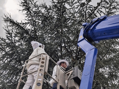 11/2025 Christian Hamberger & Benni Hergesell: Der letzte Schwarmfang für 2025