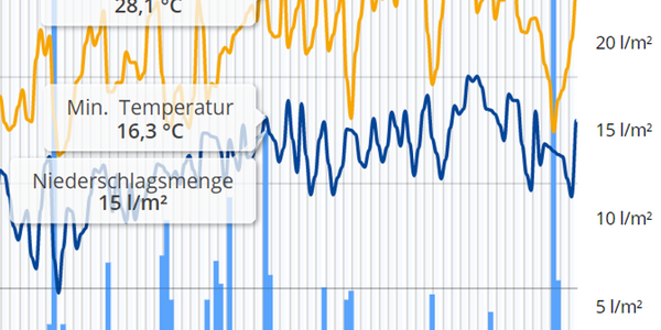 Zuchtrahmen für Königinnen mit Pflegevolk