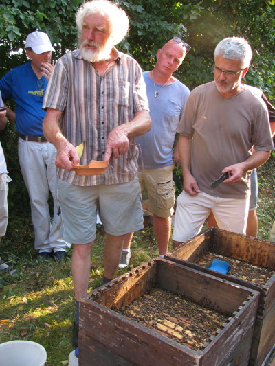 Erich Schilling (links mit Schale in der Hand) und Walter Müller (rechts mit Stockmeisel) er- klären den praktischen Ablauf der Varroabehandlung am Bienenstock